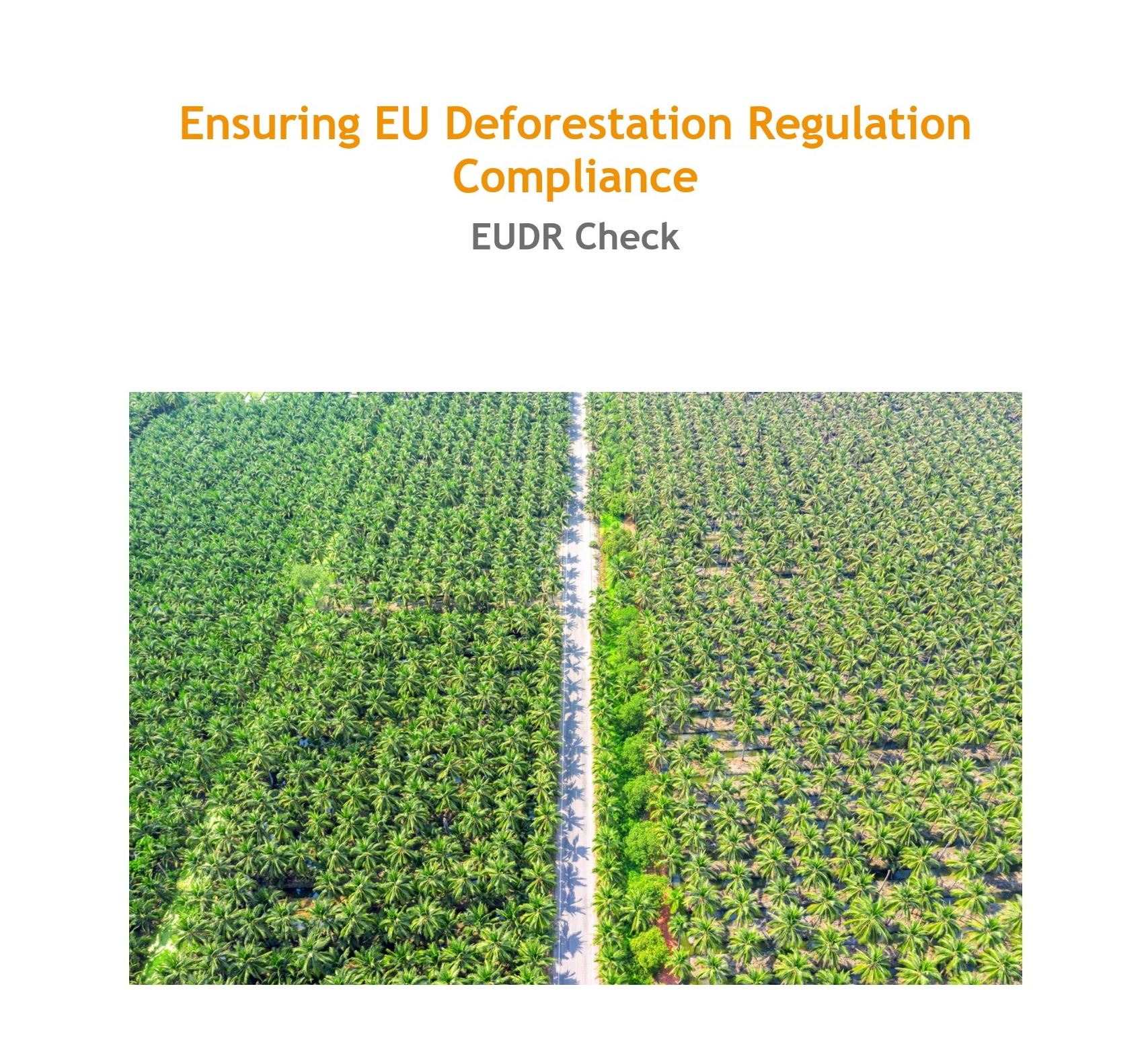 Logo of Geocledian GmbH, Title: Ensuring EU Deforestation Regulation Compliance - EUDR Check and an image of a palm oil plantation