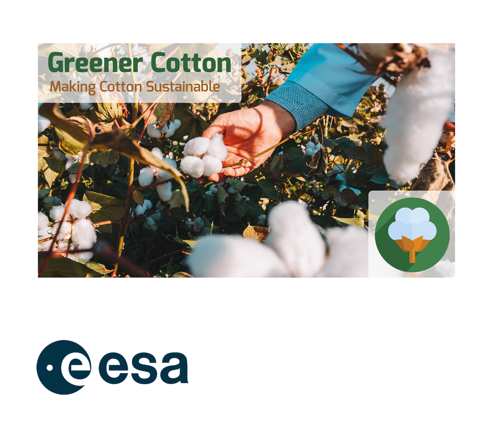 GreenerCotton ESA Project: Image with Logo GreenerCotton ESA Project: Image with Logo