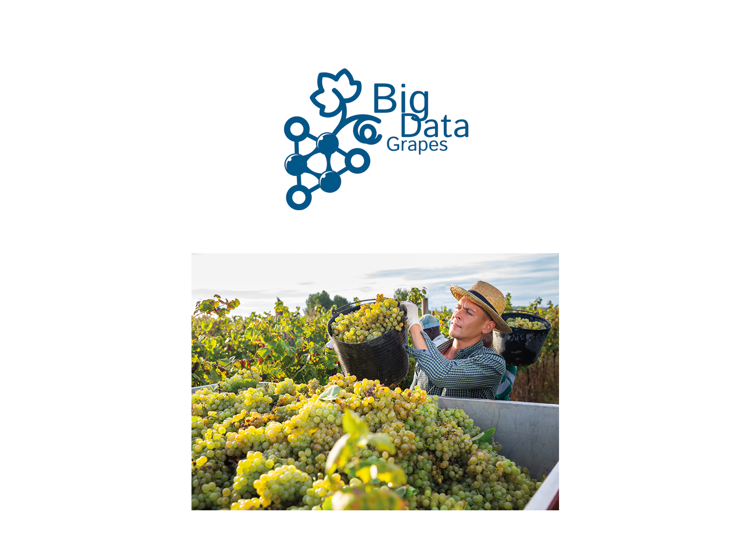 Big Data Grapes - Research Project Big Data Grapes - Research Project