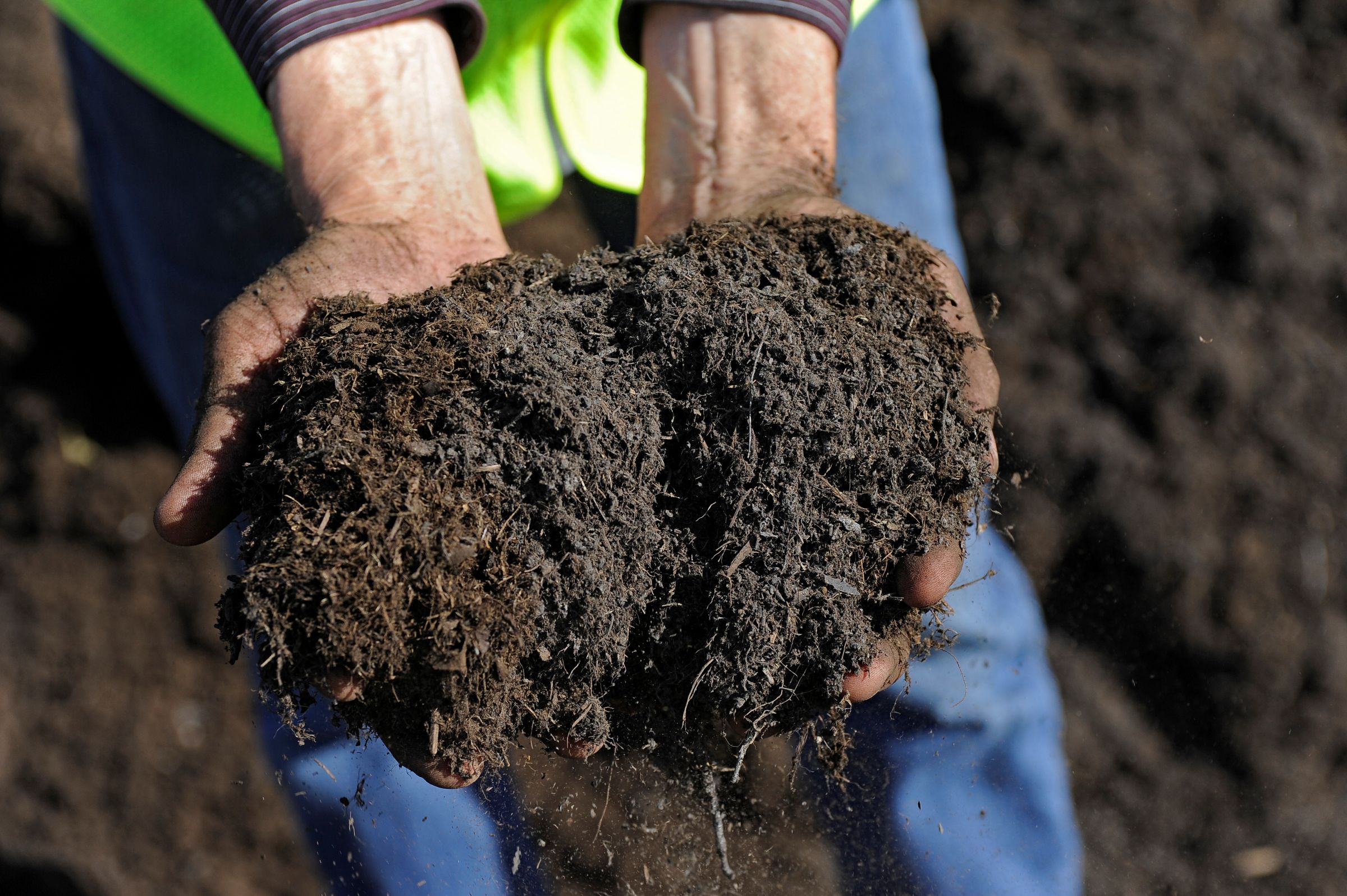 Hands holding humus-rich soil